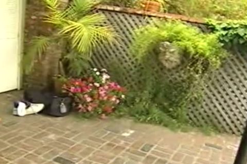 All straight penis-suckers