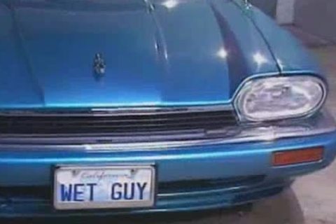 Tom Katt acquires banged By Max