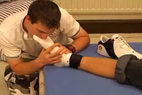 fastened Up And plowed