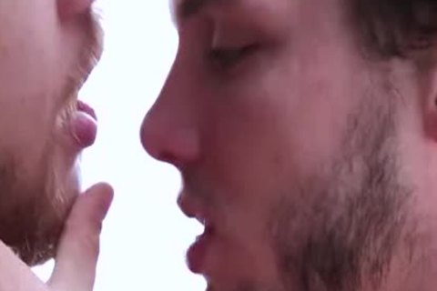 Colton Caleb Www.blogmaxegatos.co