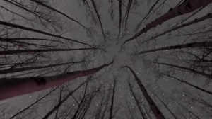 Stranded - Damien Stone & Jack Hunter ass pound