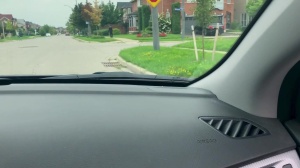 Pranksters - Dante Colle and Kit Cohen butthole Nail