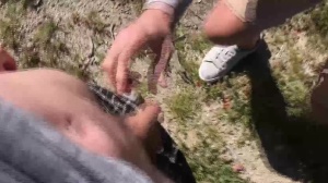 dudes In Public 5 – Hike - anal sex