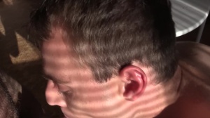 A teddy bear acquires a knob into his hirsute butthole